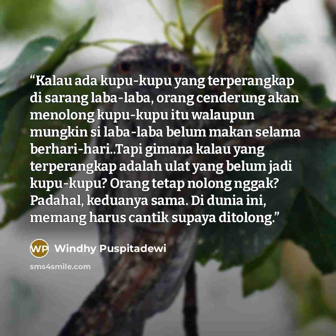 “Kalau ada kupu-kupu yang terperangkap di sarang laba-laba, orang cenderung akan menolong kupu-kupu itu walaupun mungkin si laba-laba belum makan selama berhari-hari..Tapi gimana kalau yang terperangkap adalah ulat yang belum jadi kupu-kupu? Orang tetap nolong nggak? Padahal, keduanya sama. Di…” quote by Windhy Puspitadewi