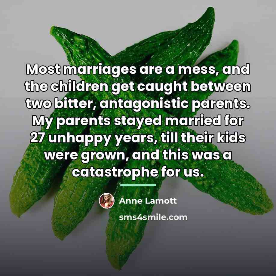 “Most marriages are a mess, and the children get caught…” quote by Anne Lamott