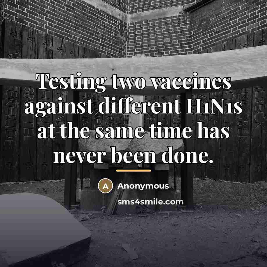 “Testing two vaccines against different H1N1s at the same time…” quote by Anonymous