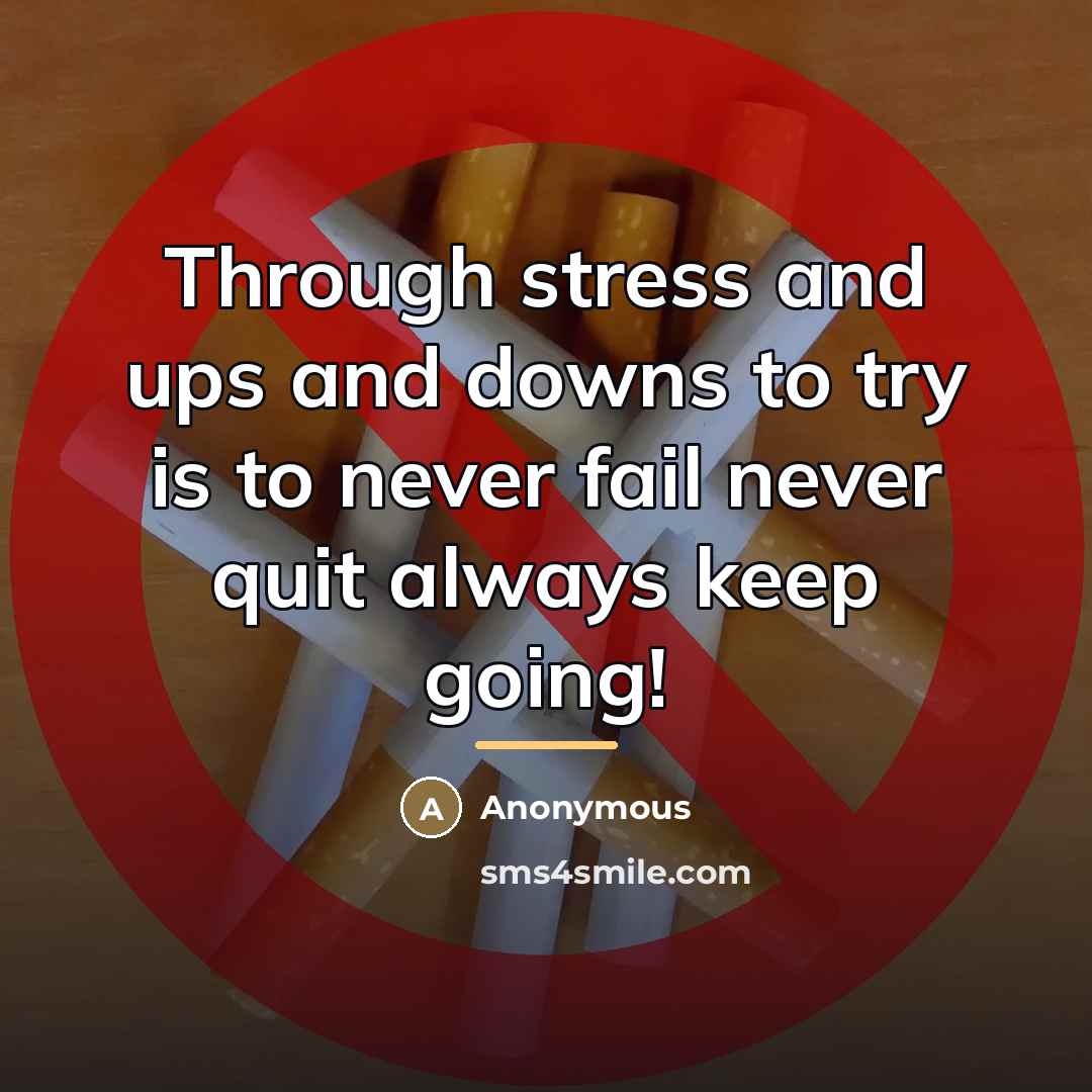 “Through stress and ups and downs to try is to…” quote by Anonymous