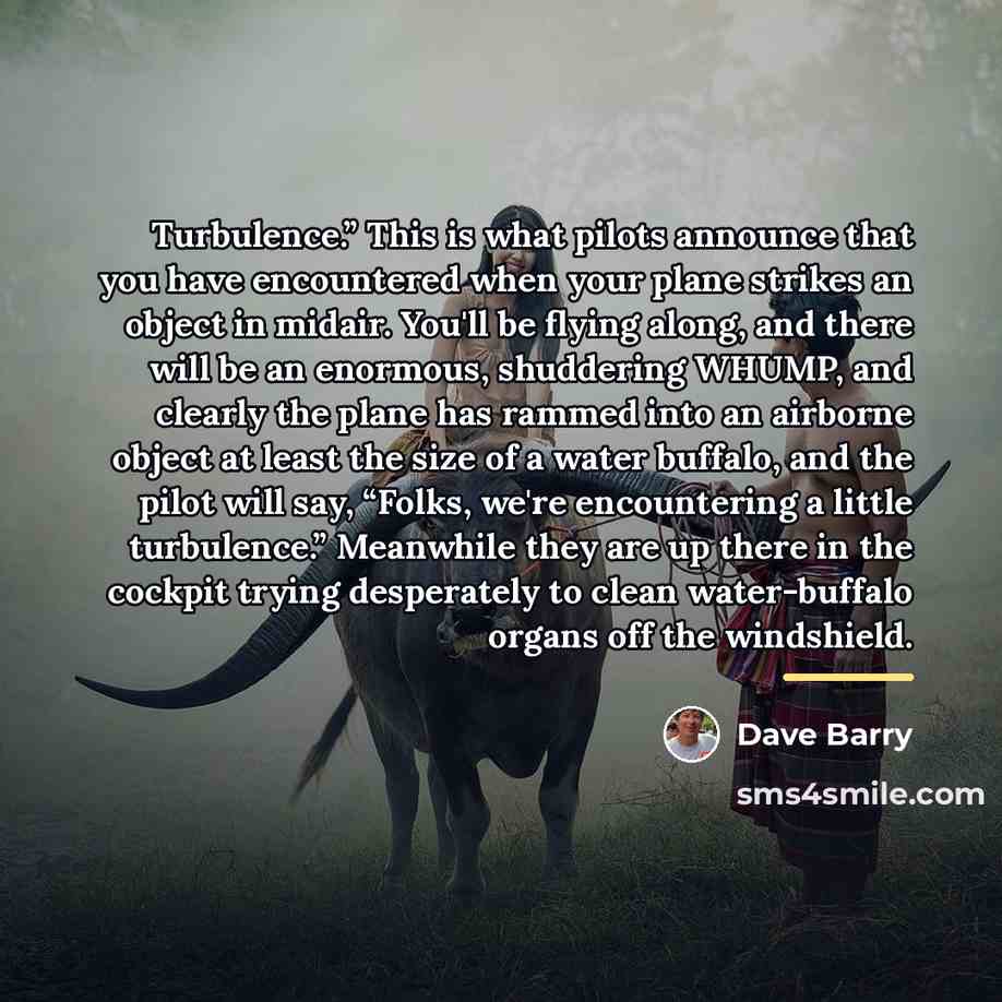 “Turbulence.” This is what pilots announce that you have encountered…” quote by Dave Barry