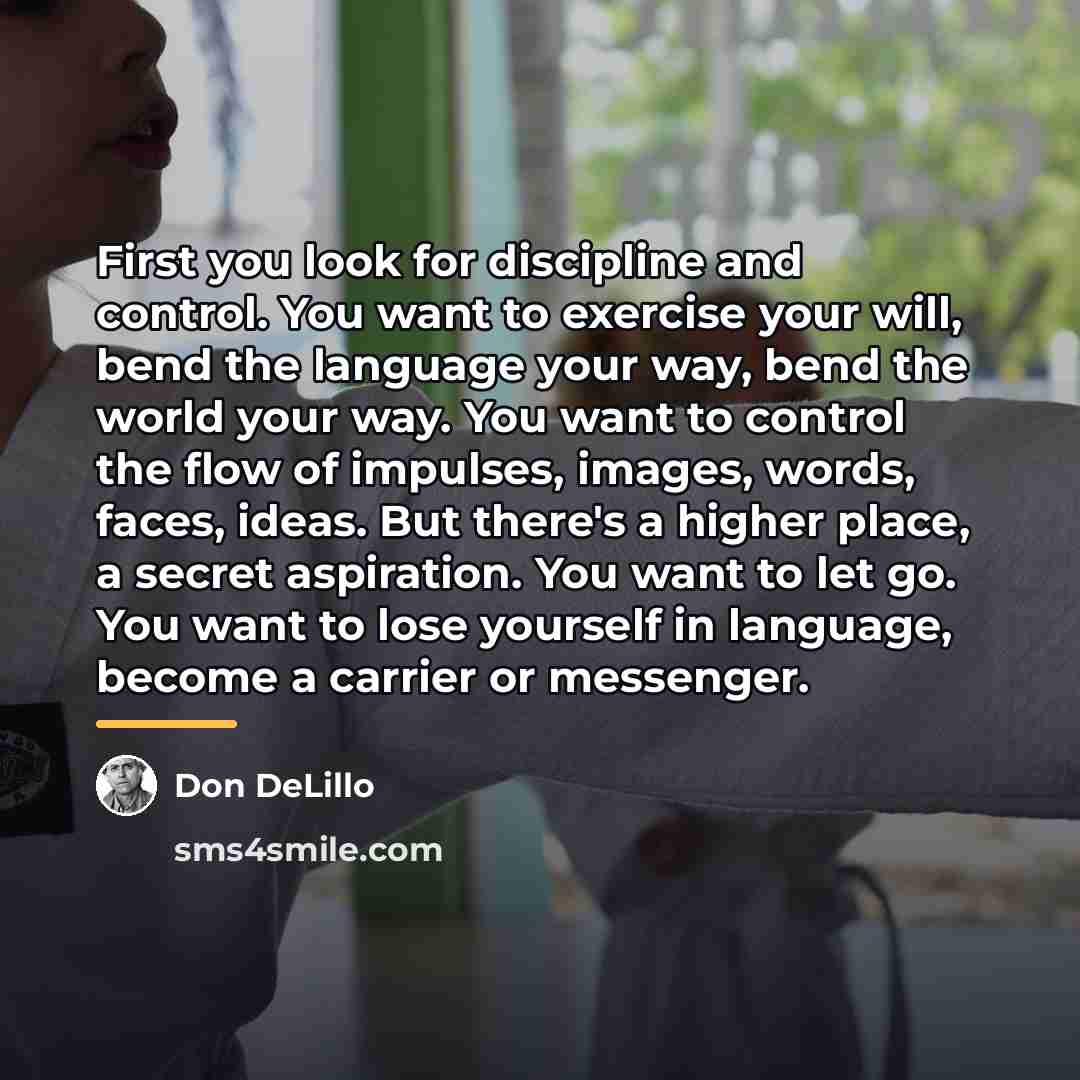 “First you look for discipline and control. You want to…” quote by Don DeLillo