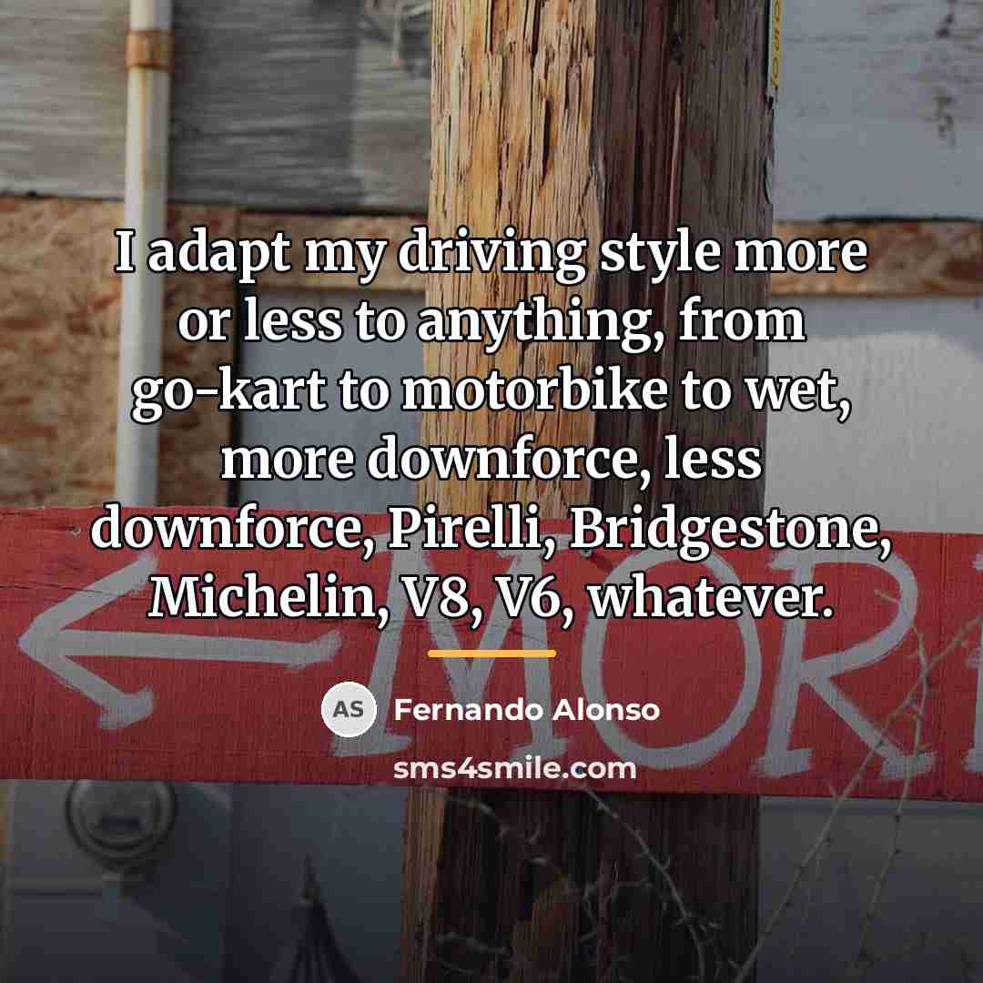 “I adapt my driving style more or less to anything,…” quote by Fernando Alonso