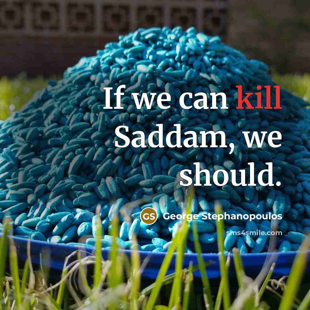 “If we can kill Saddam, we should.…” quote by George Stephanopoulos