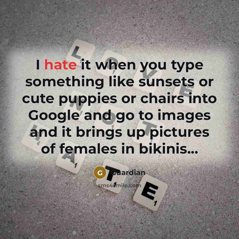 “I hate it when you type something like sunsets or cute puppies or chairs into Google and go to images and it brings up pictures of females in bikinis...” quote by Guardian