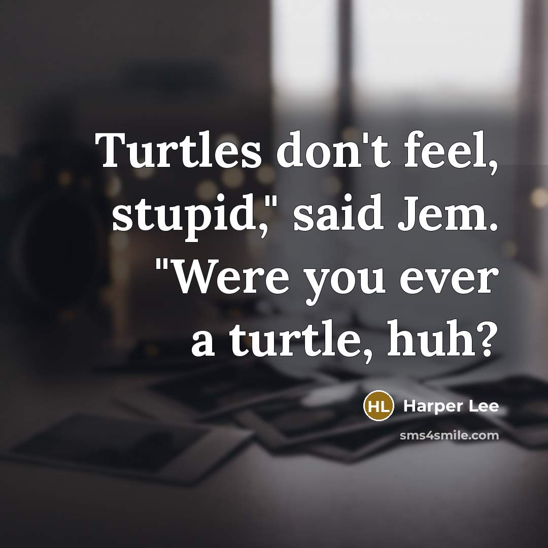“Turtles don't feel, stupid," said Jem. "Were you ever a…” quote by Harper Lee