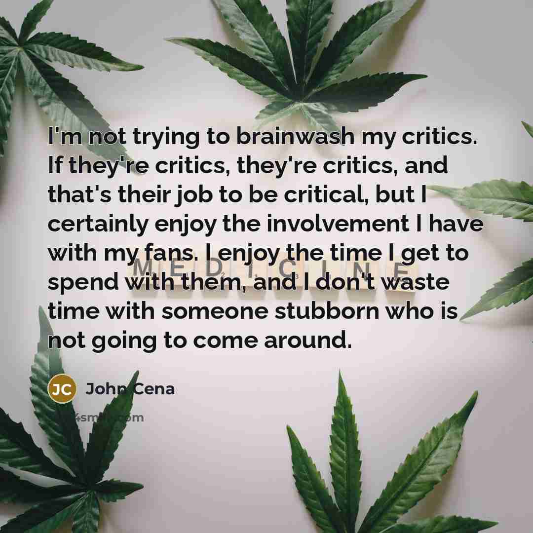 “I'm not trying to brainwash my critics. If they're critics,…” quote by John Cena
