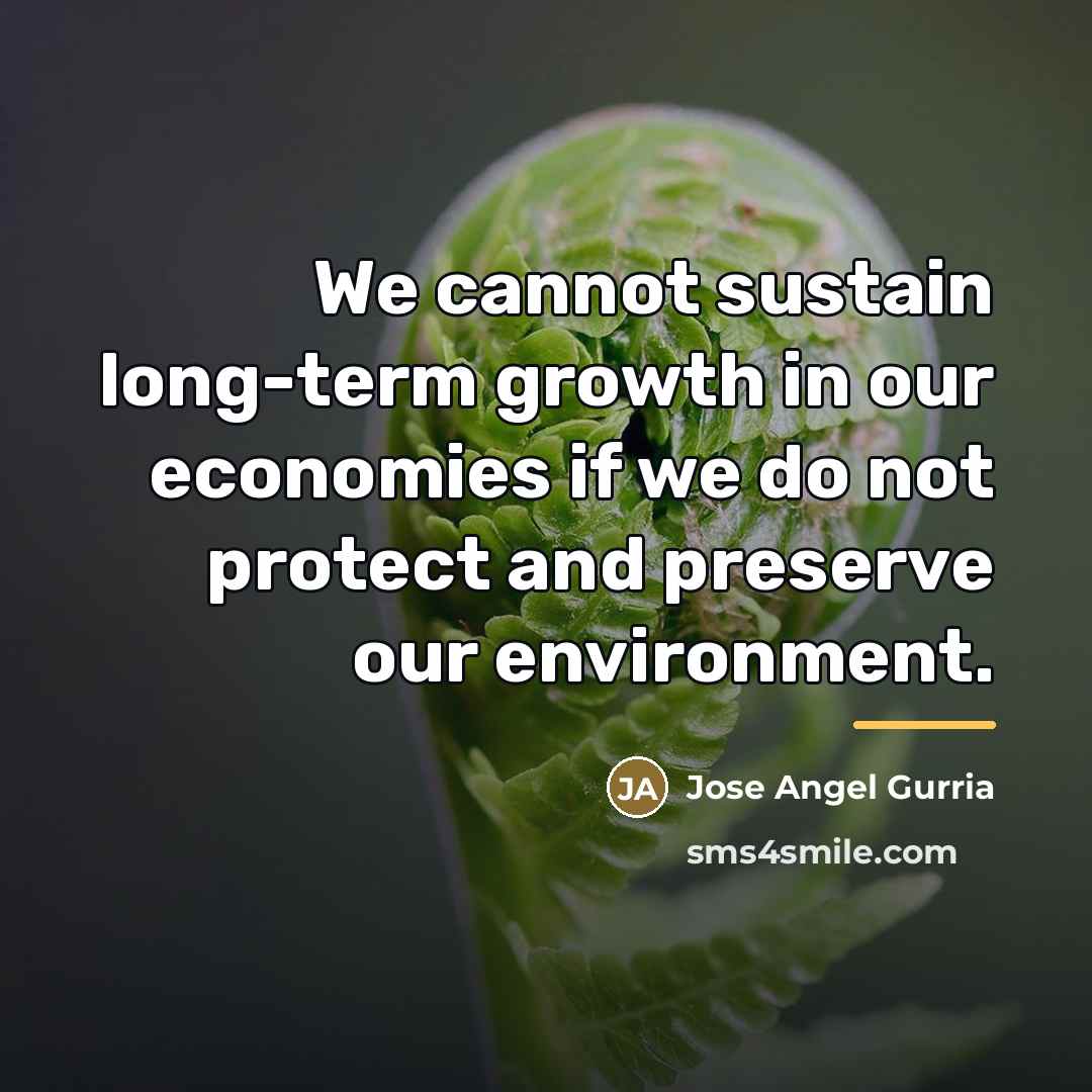 “We cannot sustain long-term growth in our economies if we…” quote by Jose Angel Gurria