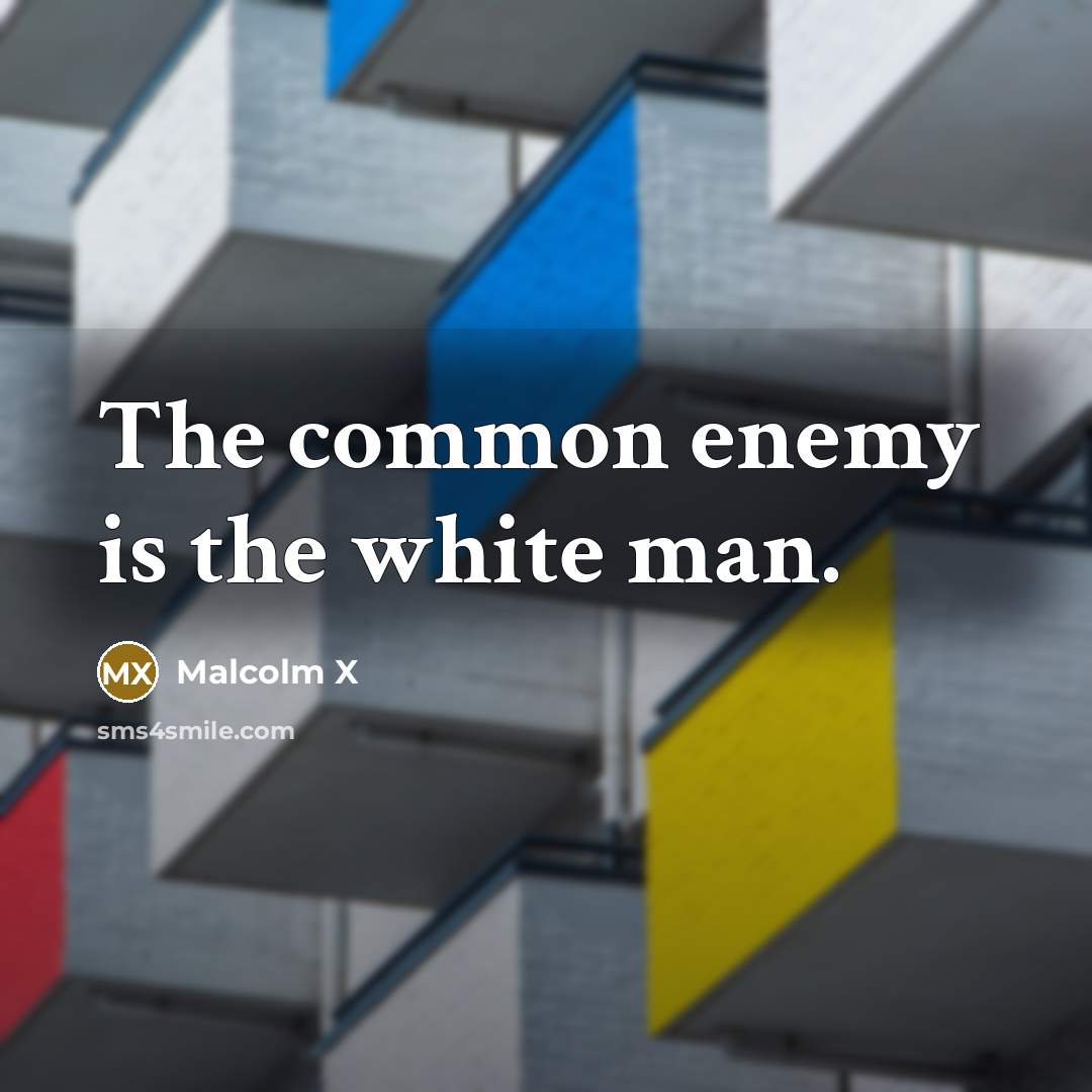 “The common enemy is the white man.…” quote by Malcolm X