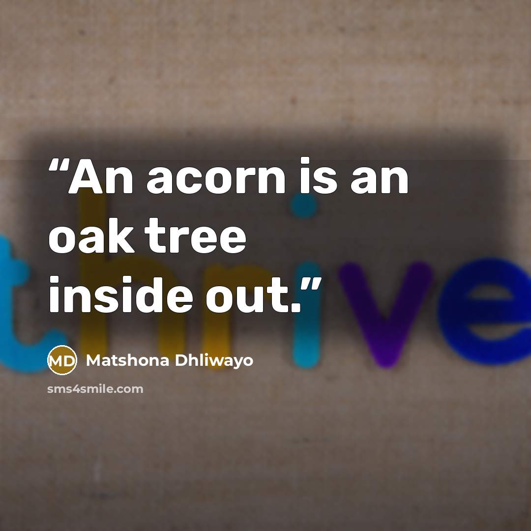 “An acorn is an oak tree inside out.” quote by Matshona Dhliwayo