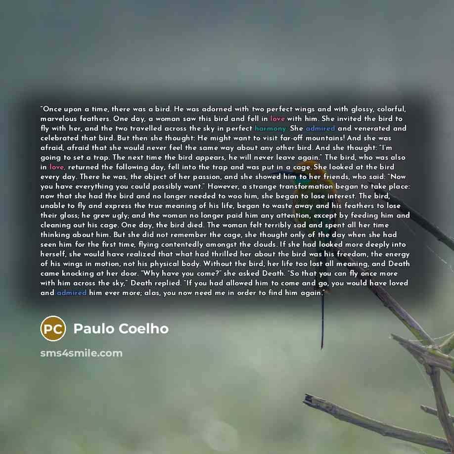 “Once upon a time, there was a bird. He was adorned with two perfect wings and with glossy, colorful, marvelous feathers. One day, a woman saw this bird and fell in love with him. She invited the bird to fly with her, and the two travelled across the sky in perfect harmony. She admired and…” quote by Paulo Coelho