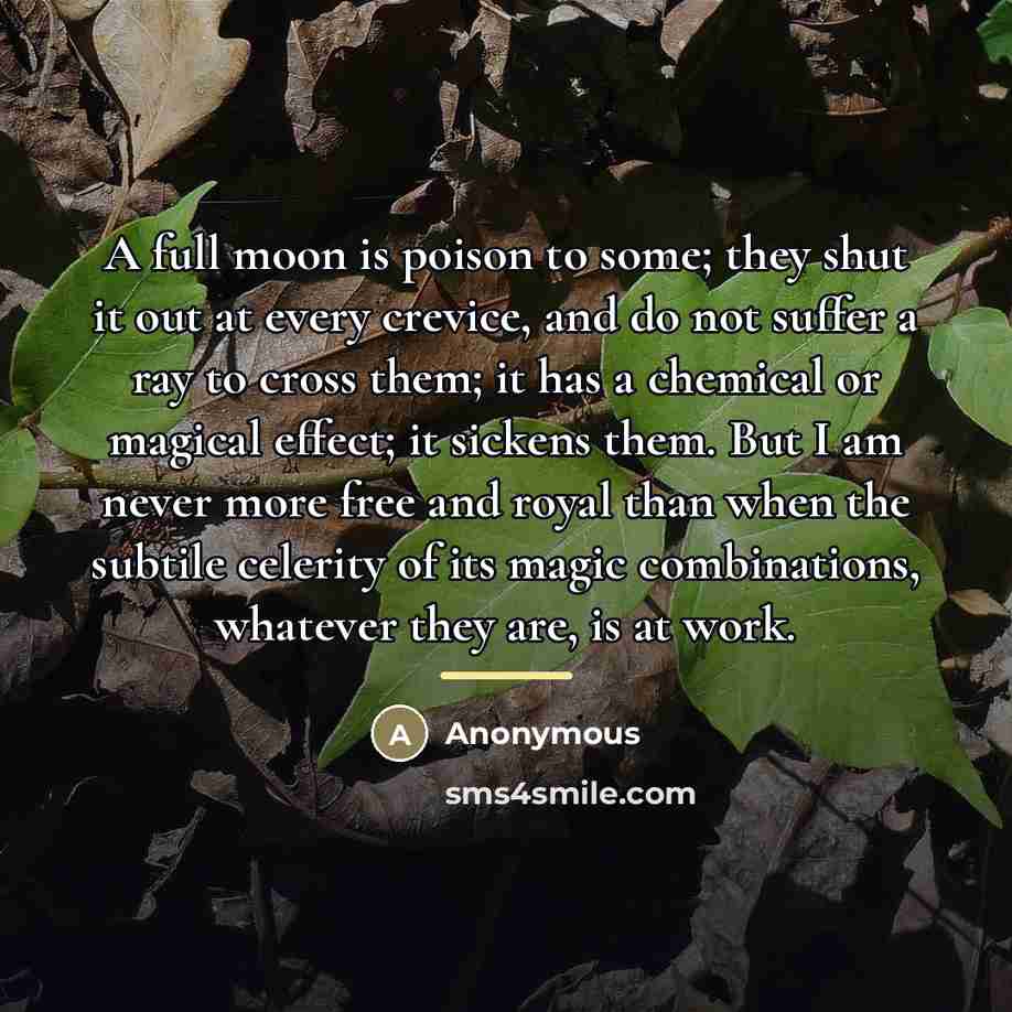 “A full moon is poison to some; they shut it…” quote by Anonymous