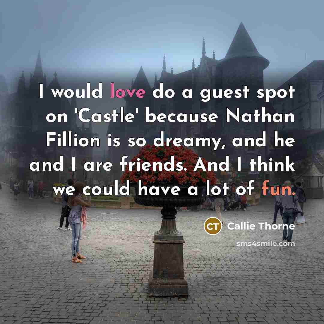 “I would love do a guest spot on 'Castle' because…” quote by Callie Thorne