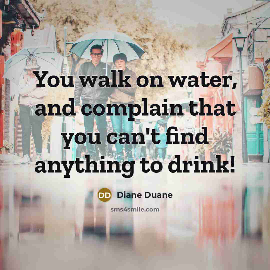 “You walk on water, and complain that you can't find…” quote by Diane Duane