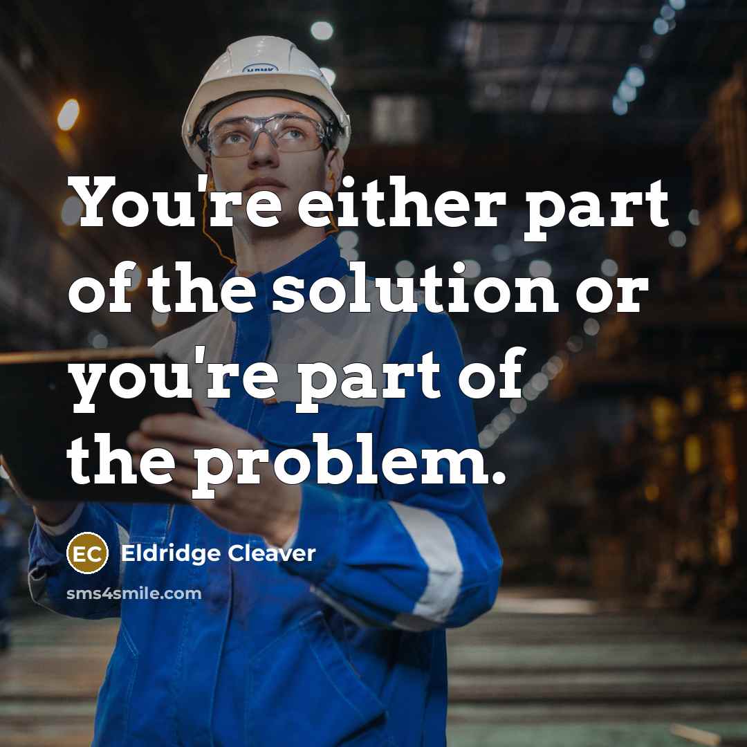 “You're either part of the solution or you're part of…” quote by Eldridge Cleaver