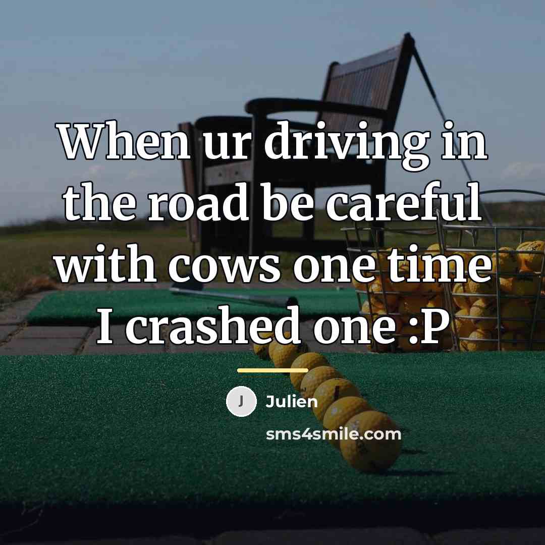 “When ur driving in the road be careful with cows…” quote by Julien