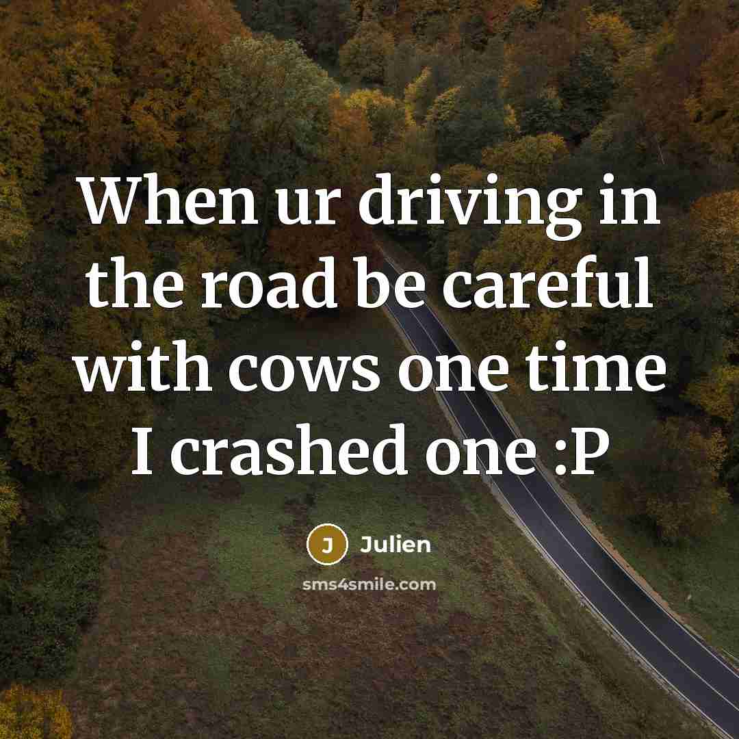 “When ur driving in the road be careful with cows one time I crashed one :P” quote by Julien