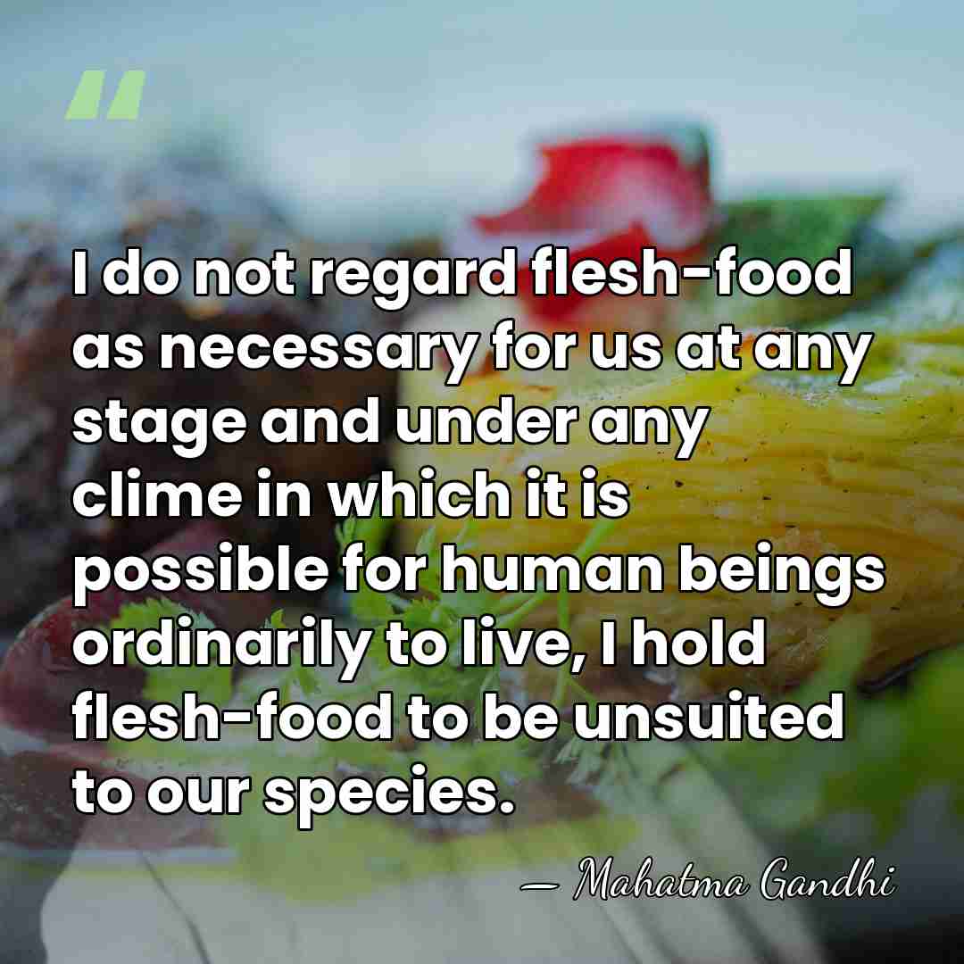 I do not regard flesh-food as necessary for us at any stage&hellip; - Mahatma Gandhi