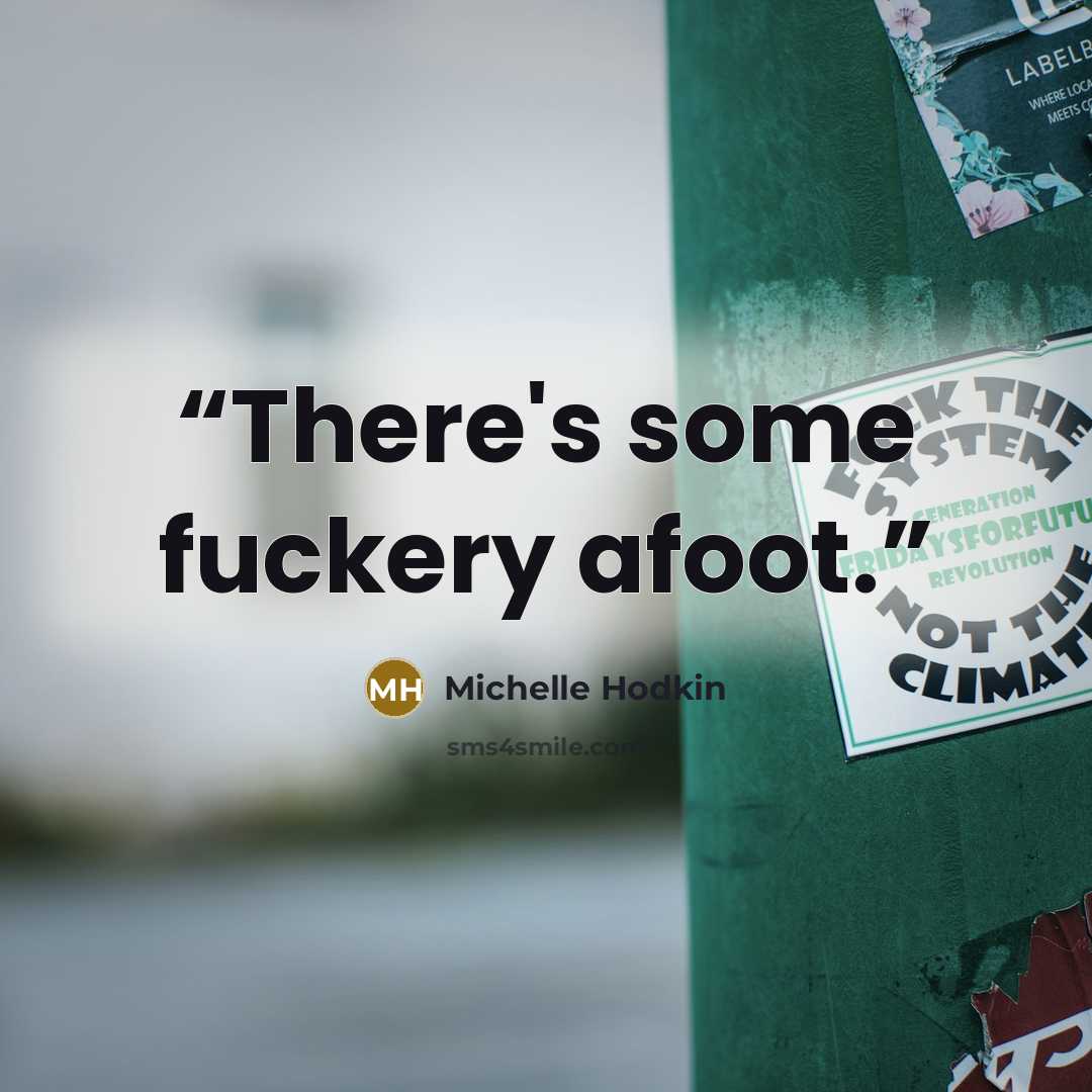 “There's some fuckery afoot.” quote by Michelle Hodkin