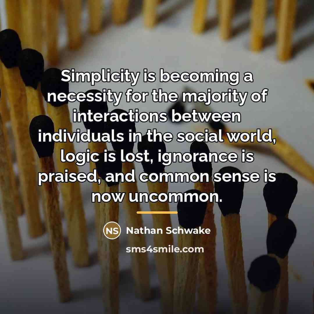 “Simplicity is becoming a necessity for the majority of interactions…” quote by Nathan Schwake