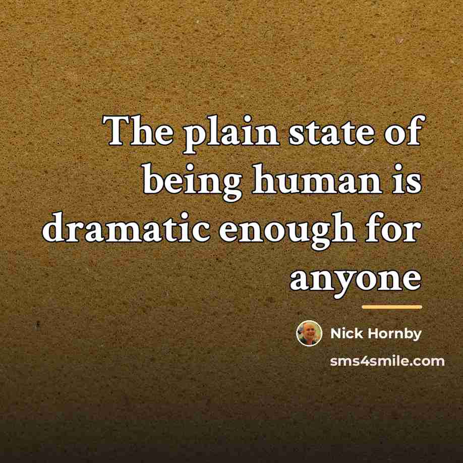 “The plain state of being human is dramatic enough for…” quote by Nick Hornby