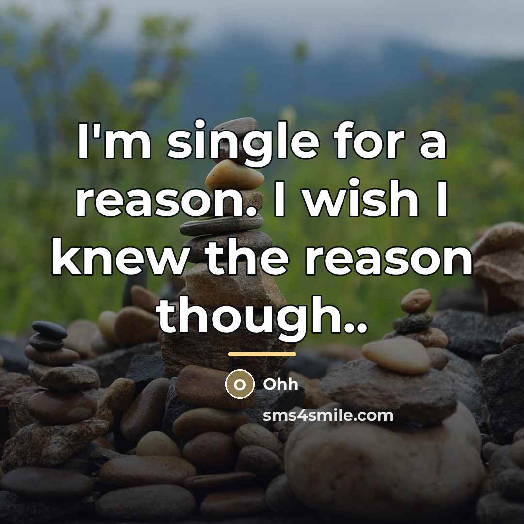 “I'm single for a reason. I wish I knew the…” quote by Ohh