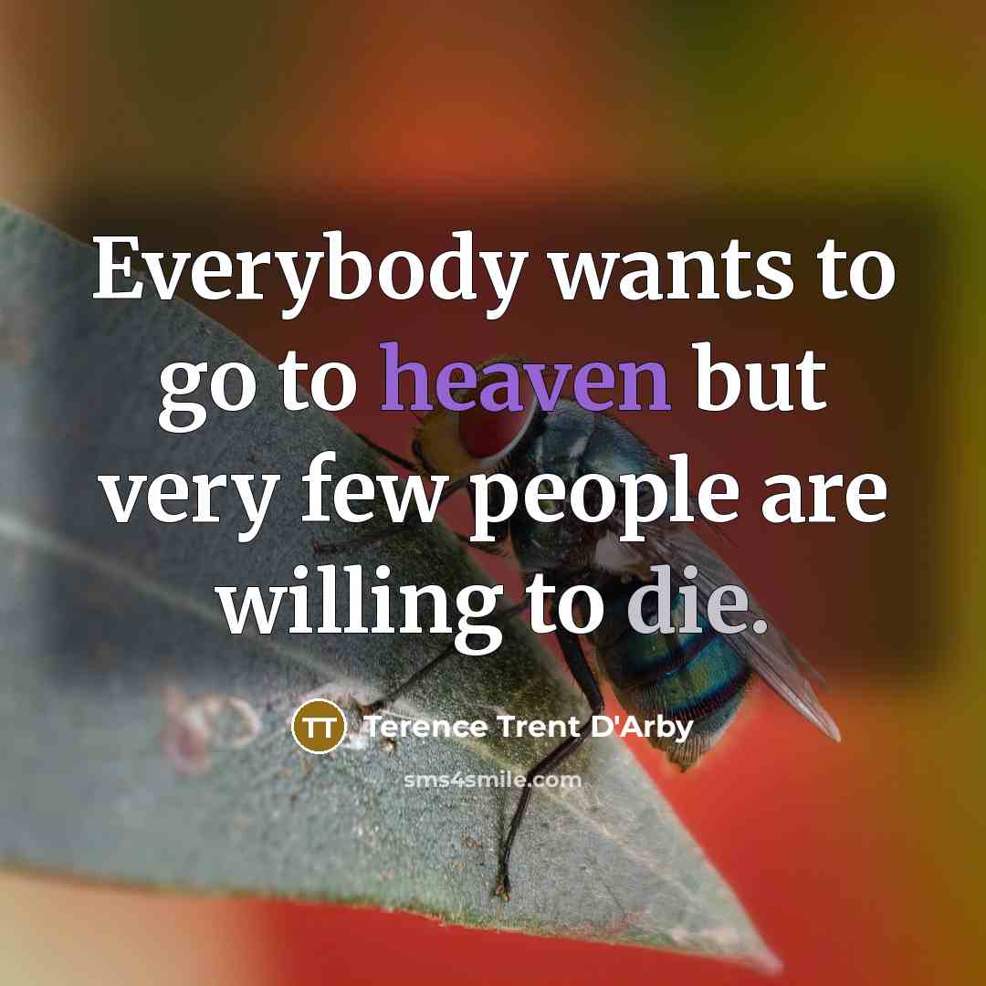 “Everybody wants to go to heaven but very few people…” quote by Terence Trent D'Arby