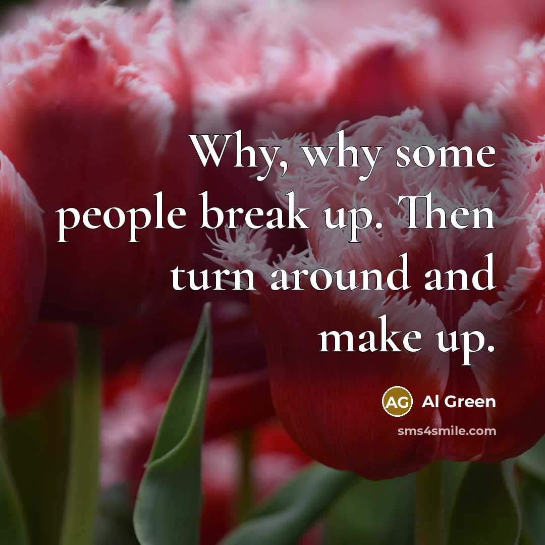 “Why, why some people break up. Then turn around and…” quote by Al Green