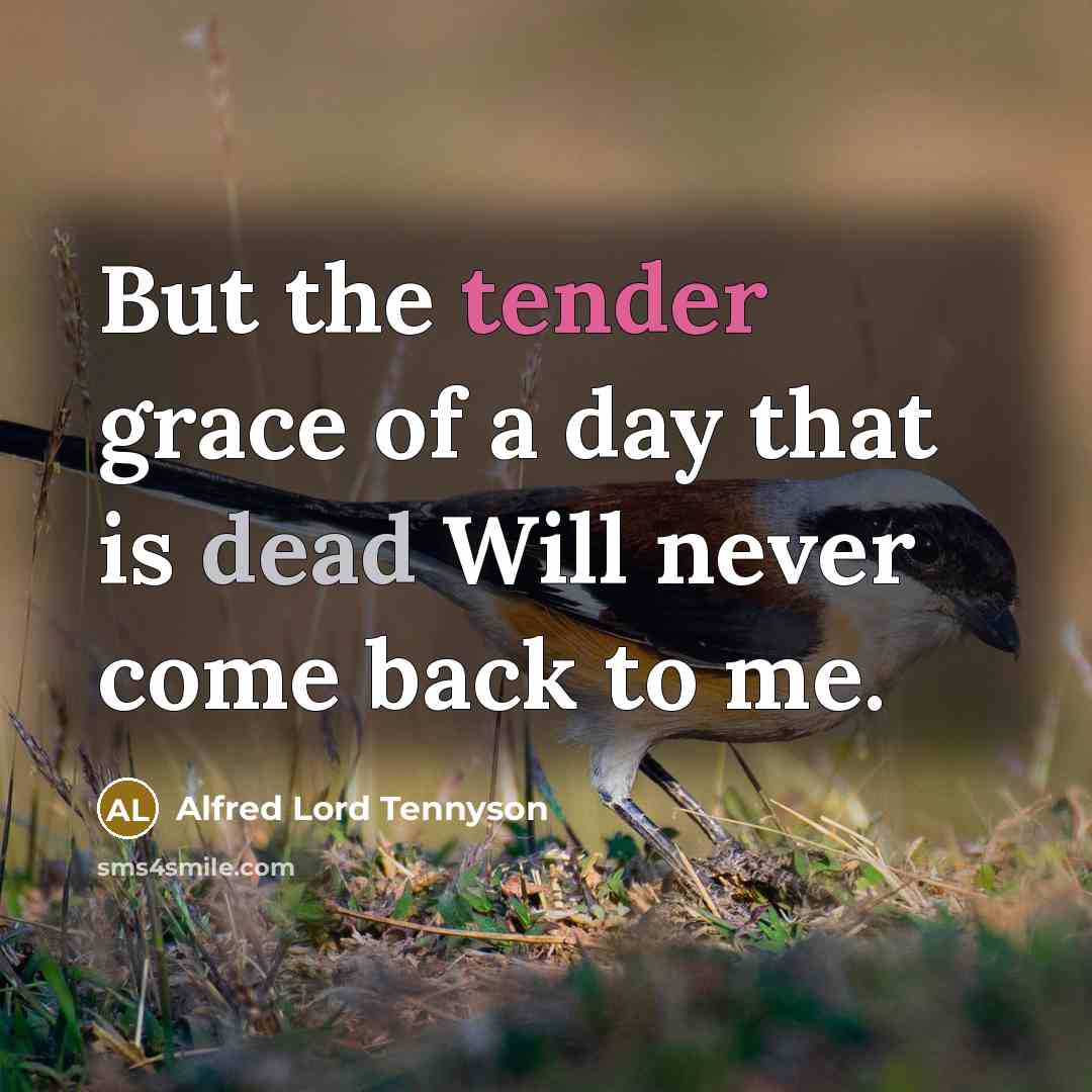 “But the tender grace of a day that is dead…” quote by Alfred Lord Tennyson