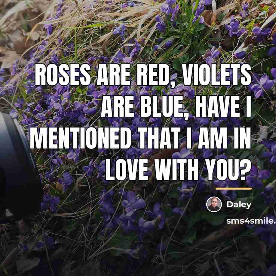 “Roses are red, violets are blue, have I mentioned that…” quote by Daley