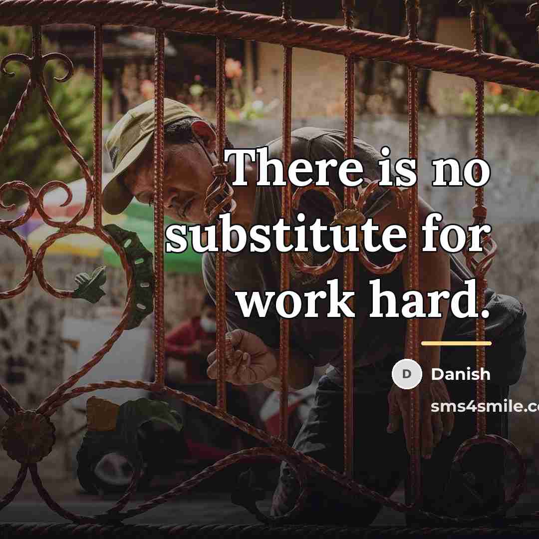 “There is no substitute for work hard.…” quote by Danish