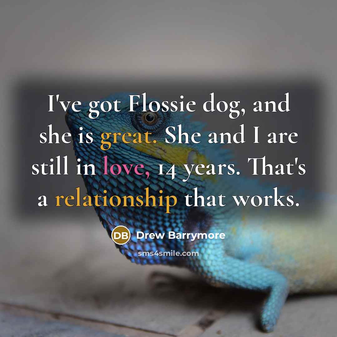 “I've got Flossie dog, and she is great. She and I are still in love, 14 years. That's a relationship that works.” quote by Drew Barrymore