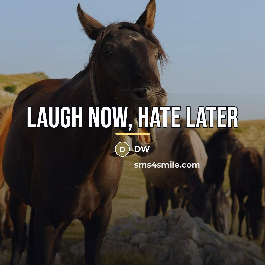 “Laugh now, Hate Later…” quote by Dw