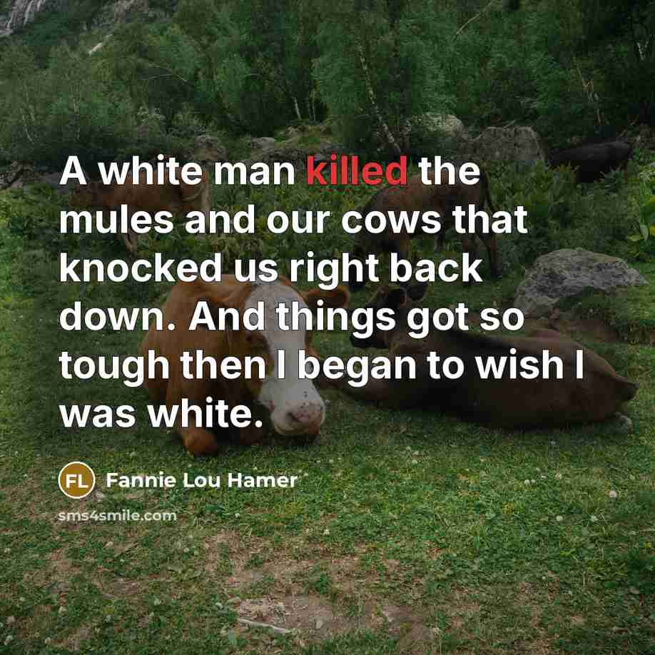 “A white man killed the mules and our cows that…” quote by Fannie Lou Hamer