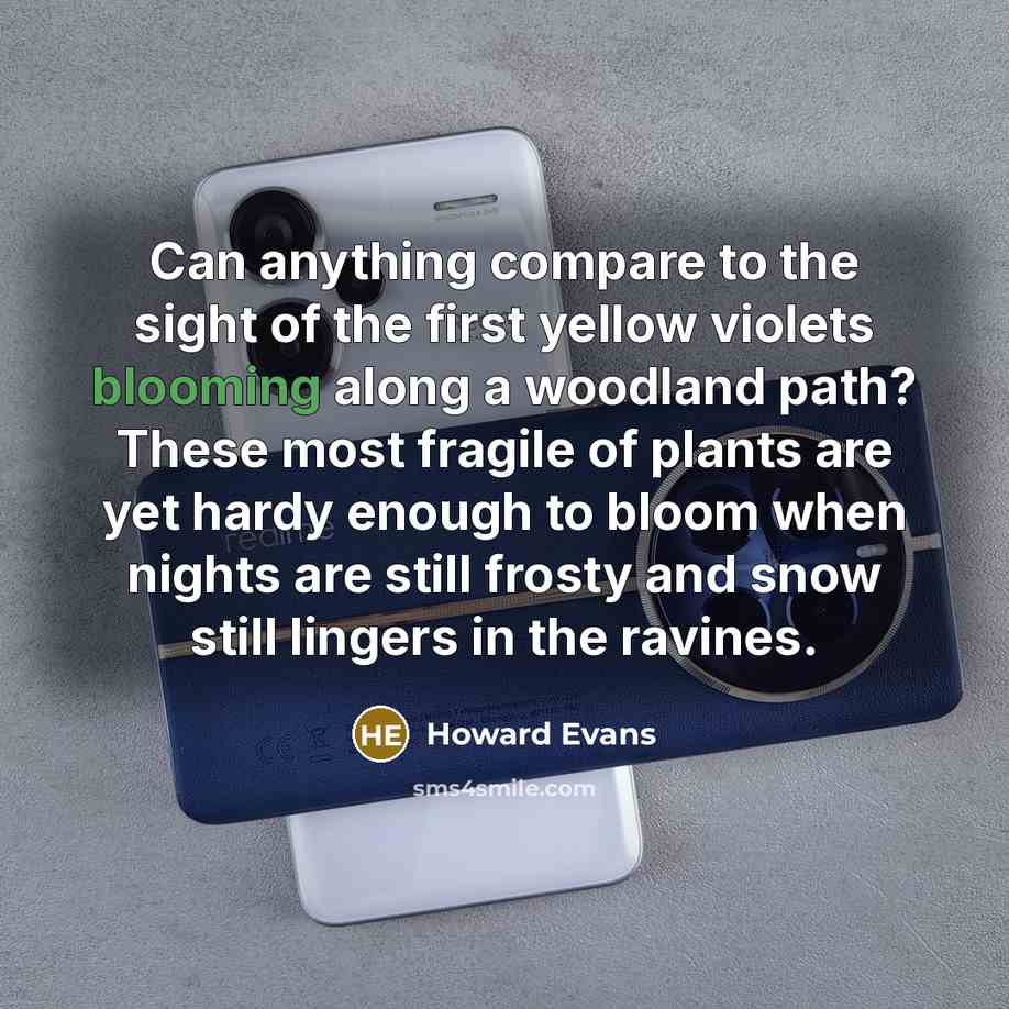 “Can anything compare to the sight of the first yellow…” quote by Howard Evans