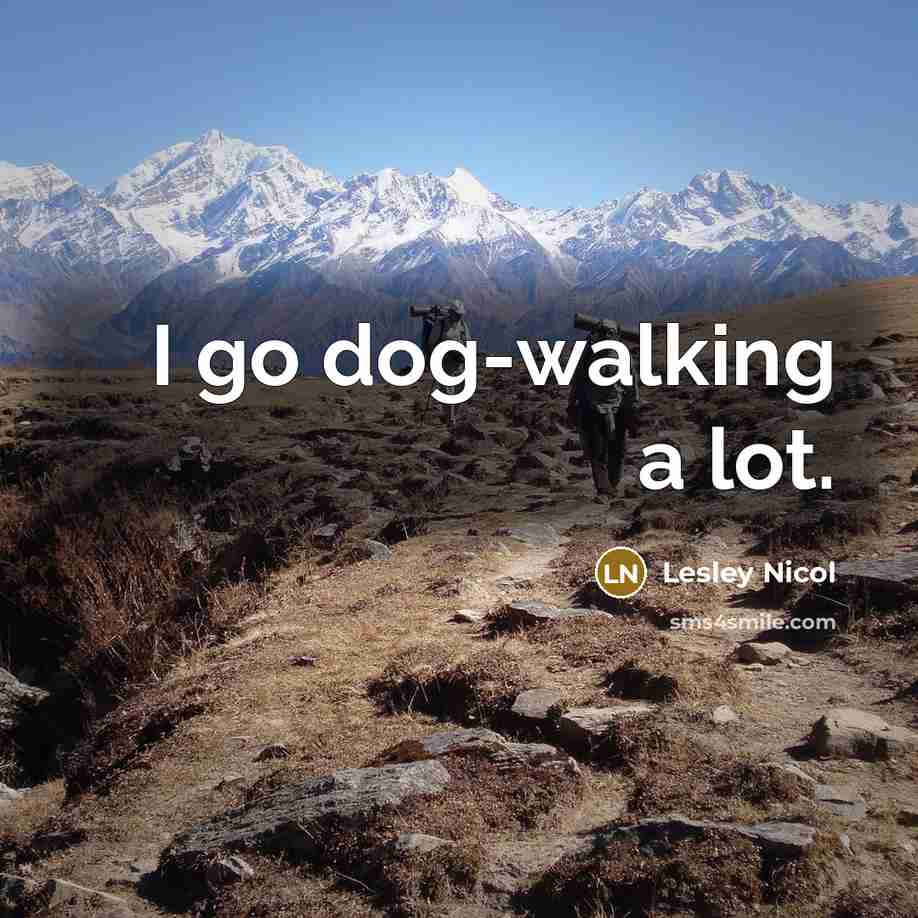 “I go dog-walking a lot.…” quote by Lesley Nicol