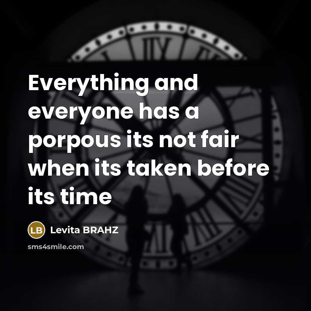 “Everything and everyone has a porpous its not fair when…” quote by Levita BRAHZ