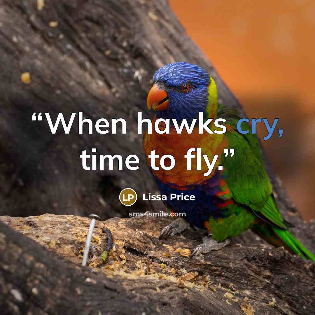 “When hawks cry, time to fly.” quote by Lissa Price