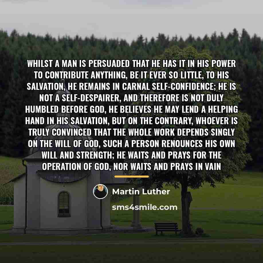 “Whilst a man is persuaded that he has it in…” quote by Martin Luther
