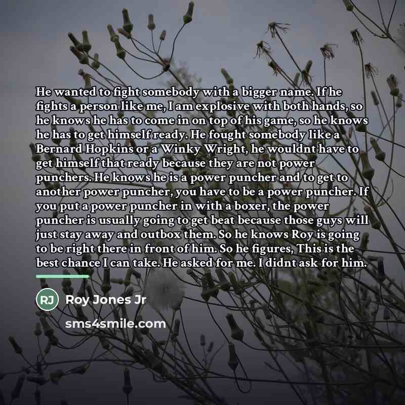 “He wanted to fight somebody with a bigger name. If…” quote by Roy Jones Jr