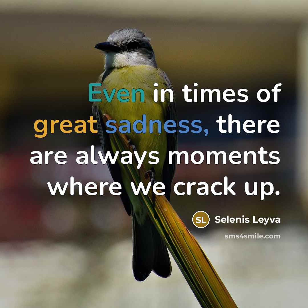 “Even in times of great sadness, there are always moments…” quote by Selenis Leyva