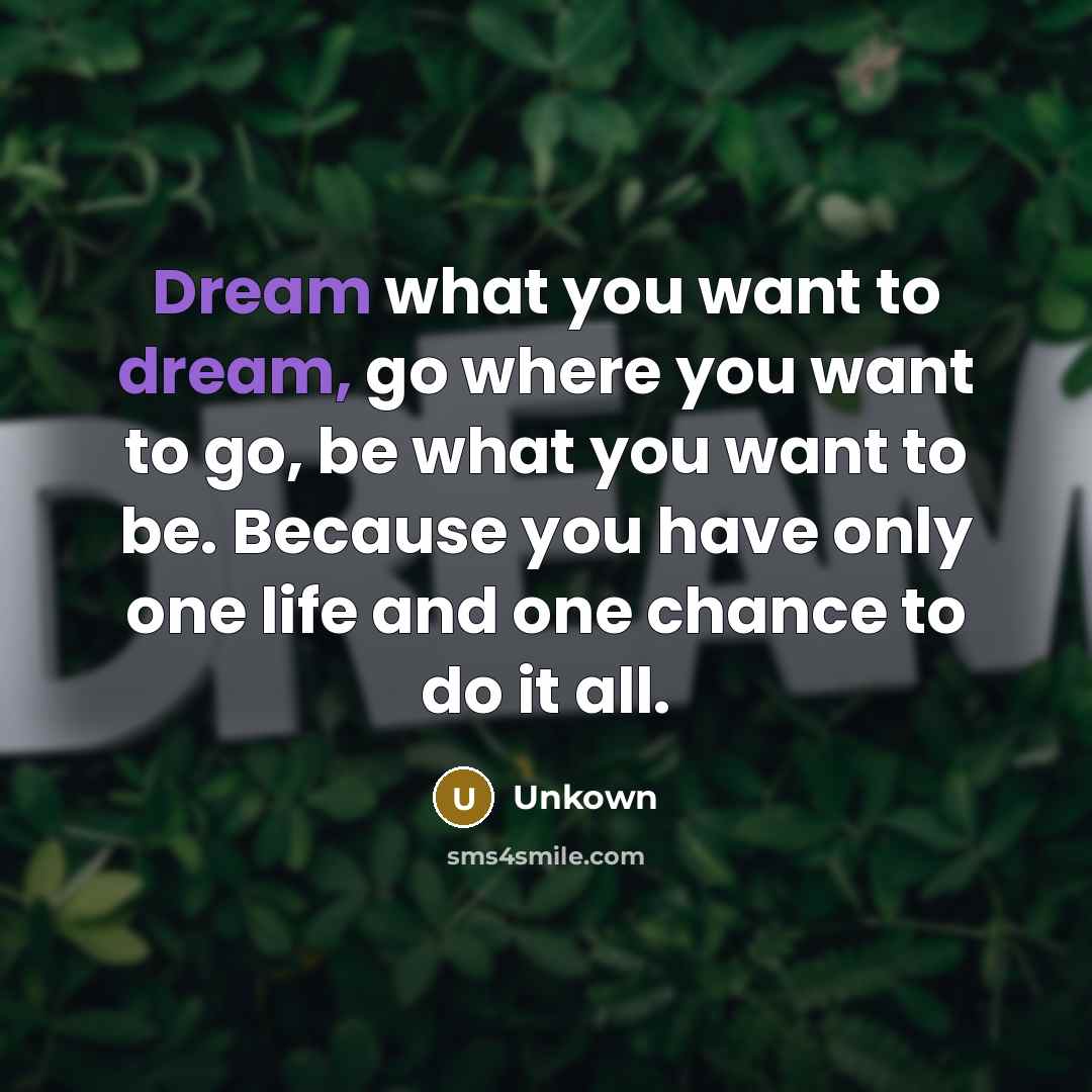 “Dream what you want to dream, go where you want…” quote by Unkown
