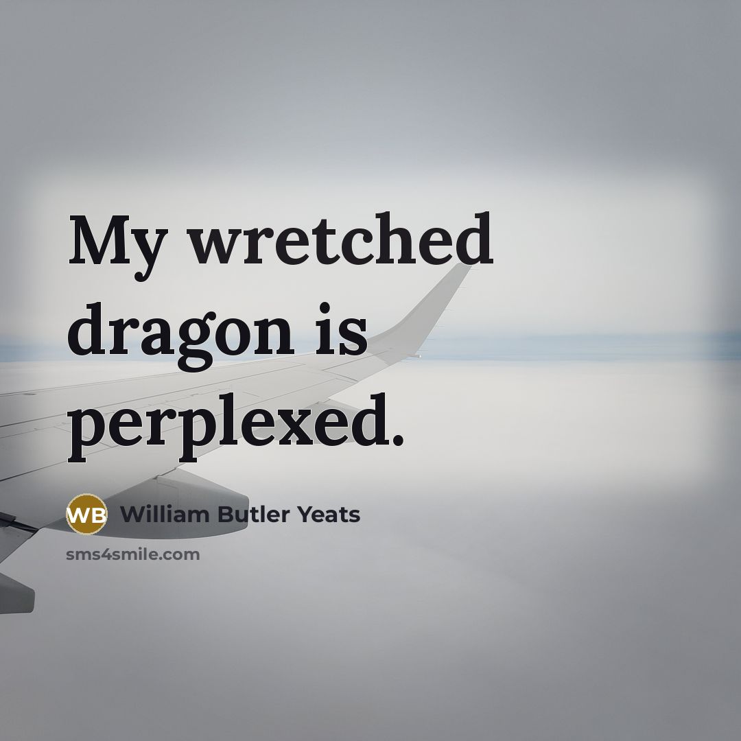 “My wretched dragon is perplexed.” quote by William Butler Yeats