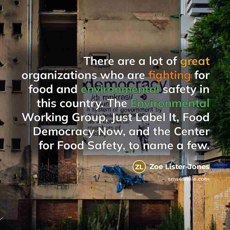 “There are a lot of great organizations who are fighting…” quote by Zoe Lister-Jones