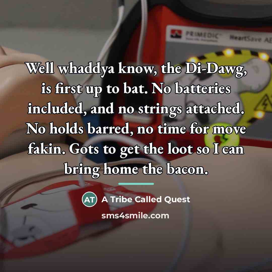 “Well whaddya know, the Di-Dawg, is first up to bat.…” quote by A Tribe Called Quest