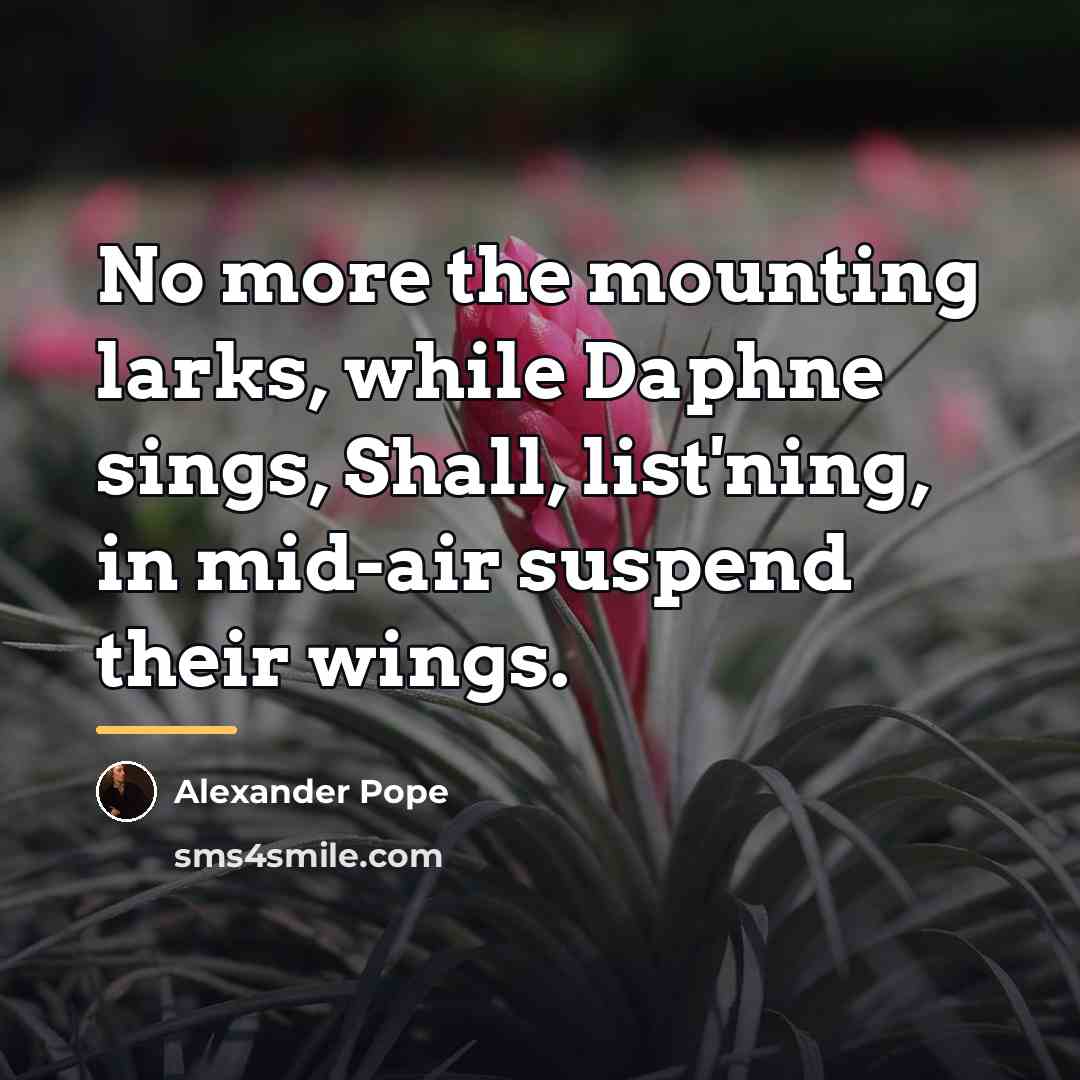 “No more the mounting larks, while Daphne sings, Shall, list'ning,…” quote by Alexander Pope