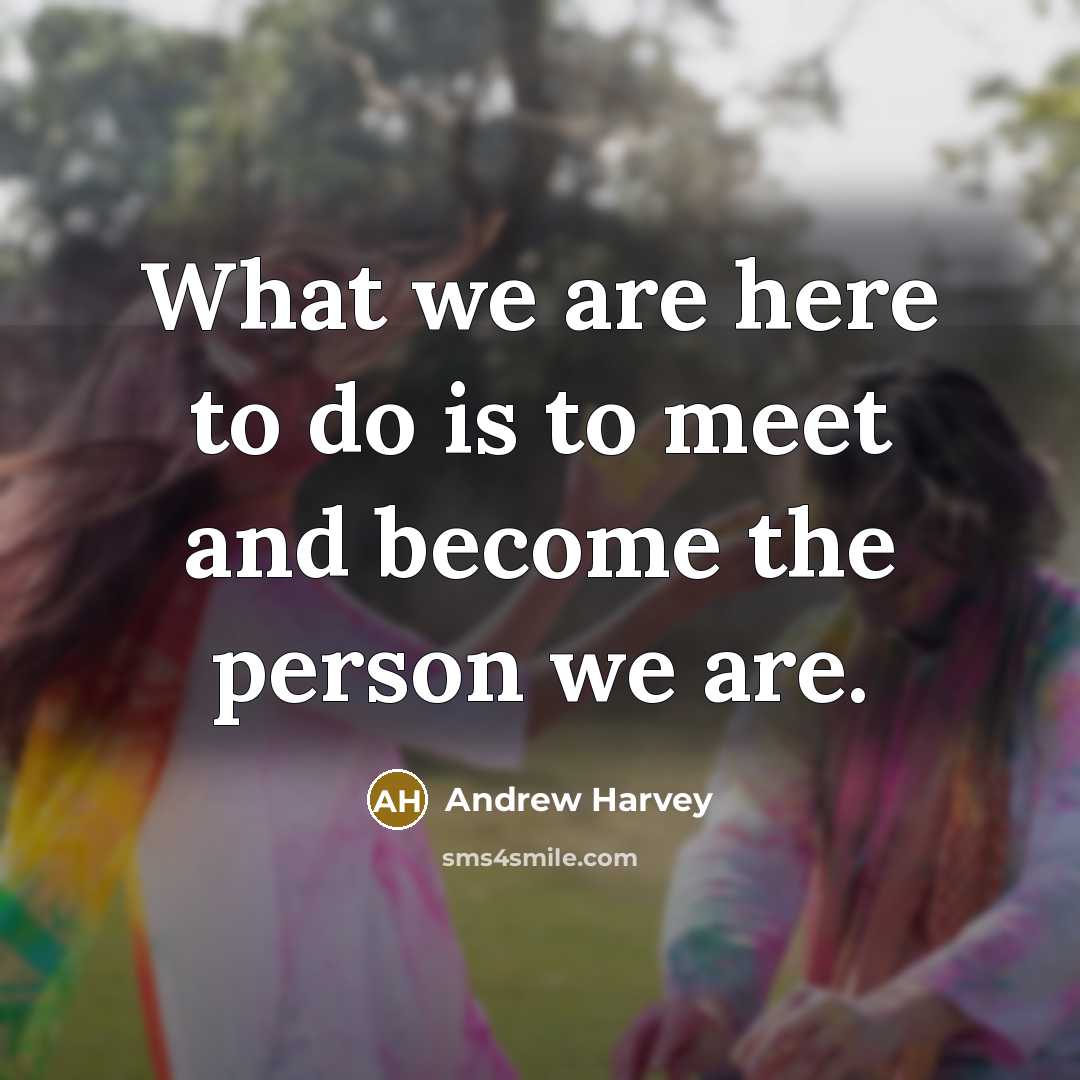 “What we are here to do is to meet and…” quote by Andrew Harvey