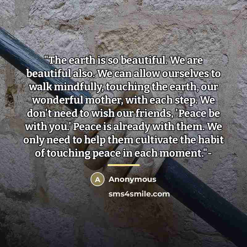 “"The earth is so beautiful. We are beautiful also. We…” quote by Anonymous