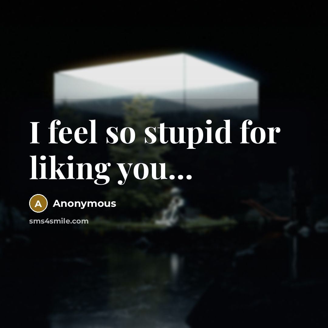 “I feel so stupid for liking you....…” quote by Anonymous