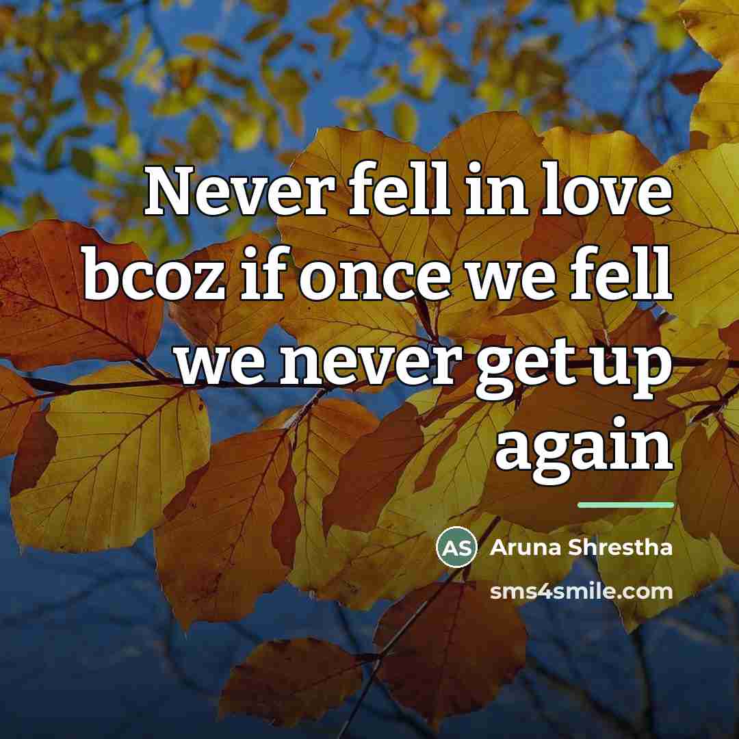 “Never fell in love bcoz if once we fell we…” quote by Aruna Shrestha